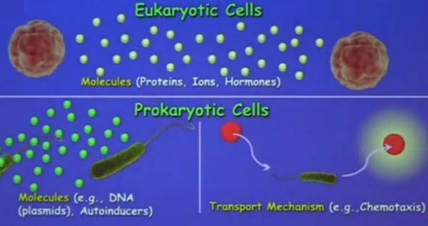 Akyildiz Nanomachines In Nature Communication