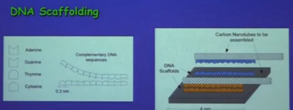Dna Scaffolding