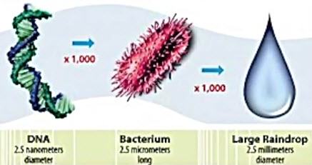 Dna2nm Vs Bacteria Vs Raindrop