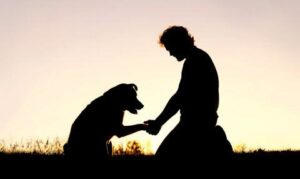 Win Heart First Human Compassion