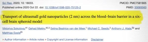 Nanoparticles Cross Bloodbrainbarrier