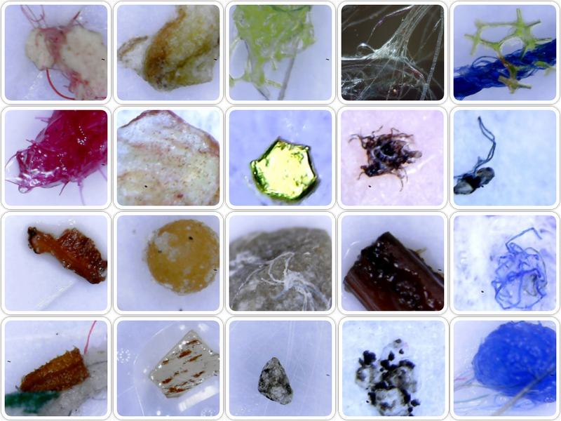 Detoxwrap Candynelson And Spain