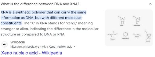 Xna Xeno Nucleic Acid