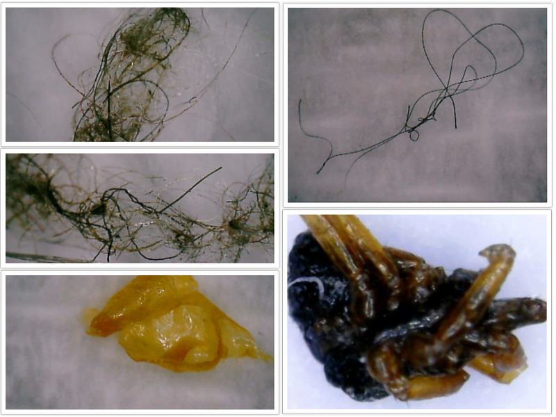 Anti Nano Bath Synthetic Constructs