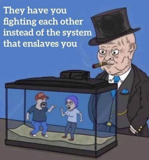 System Enslaves