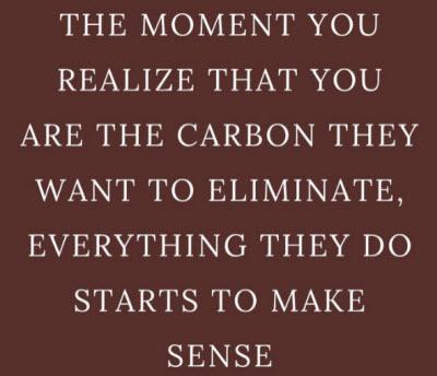 You Are The Carbon They Want To Eliminate