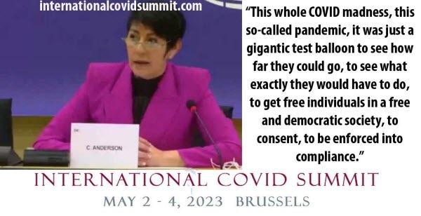 Covidmadness Testballoon Christineanderson