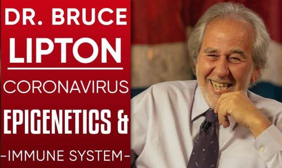 Drbrucelipton Immunity Fear