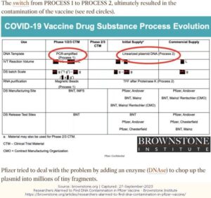 Brownstone Pfizerprocessswitch