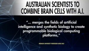 Australian Scientists To Combine Brain Cells With Ai