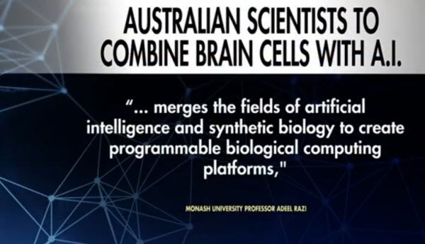 Australian Scientists To Combine Brain Cells With Ai