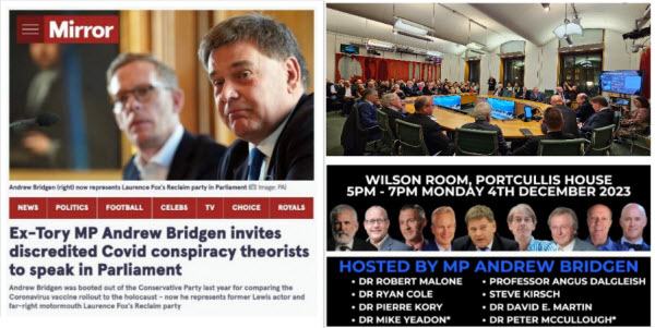 Uk Bridgen Covid Testimonies